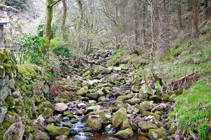 Mountain Stream, Glencree, Wicklow, Ireland